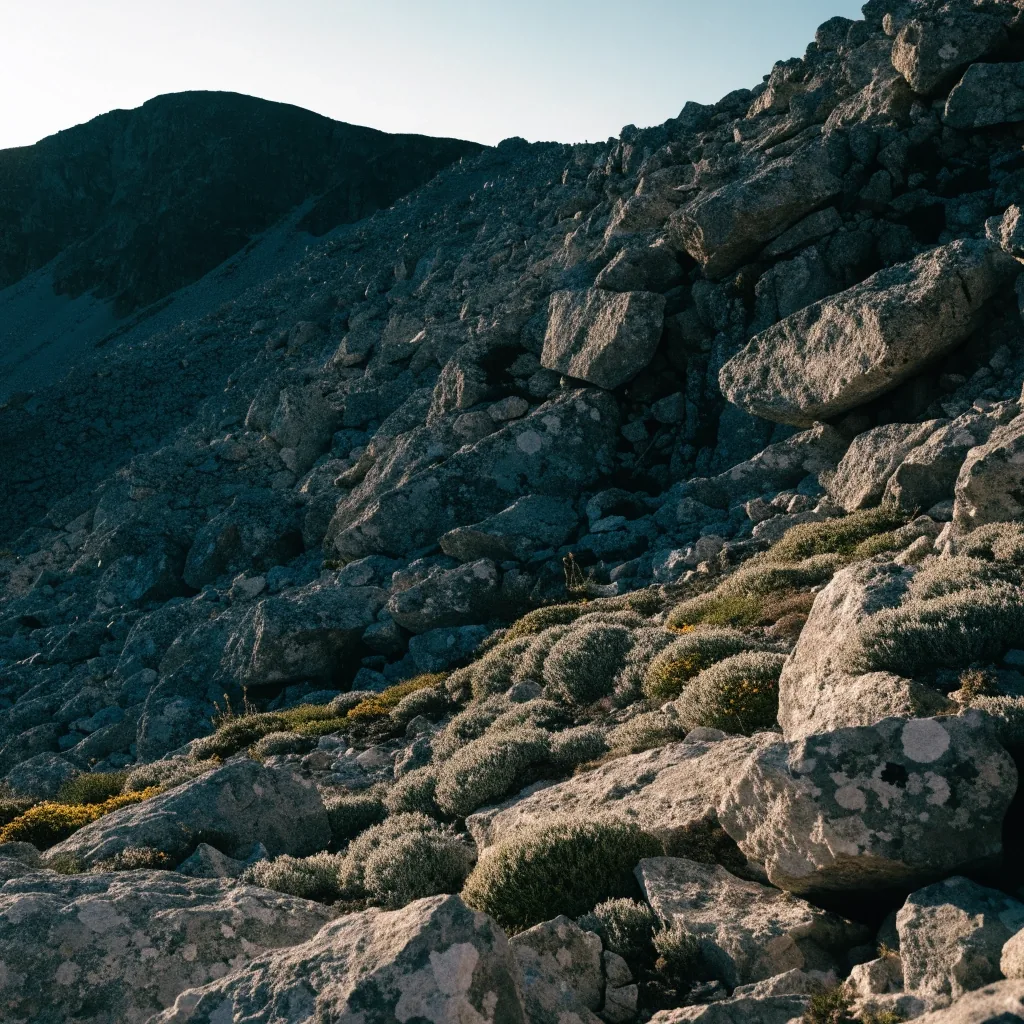 Ladera de cumbre con piedra suelta y plantas almohadilladas en el Pirineo