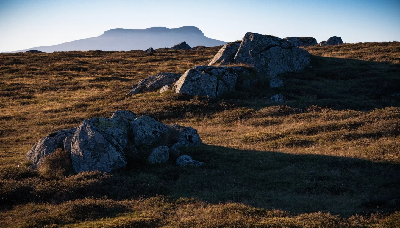 Pradera de alta montaña con matorral bajo y luz cálida al final del día