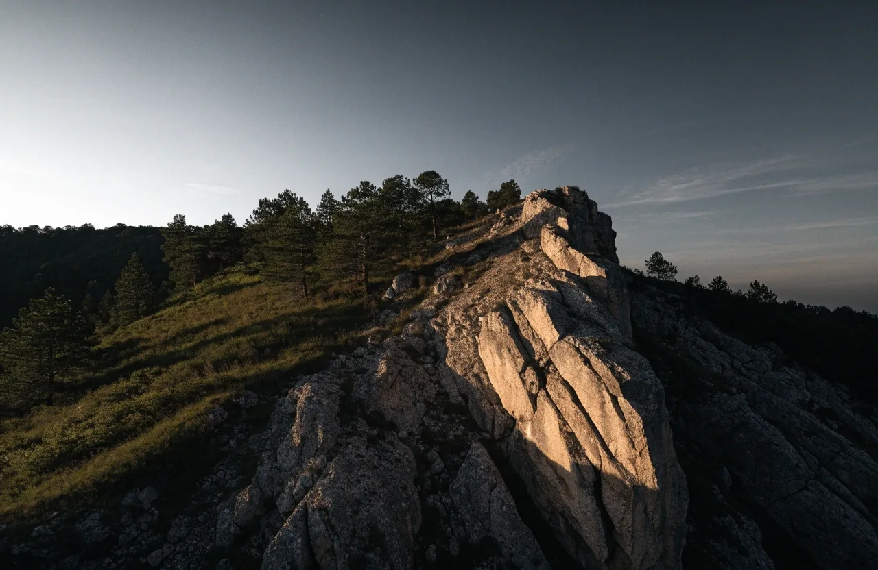Ladera de caliza cantábrica al atardecer, con luz cálida lateral sobre la roca y el pinar